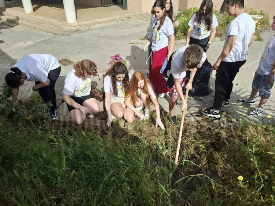 School education students Erasmus mobility in Spain