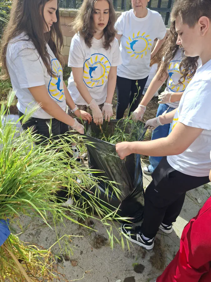 School education students Erasmus mobility in Spain