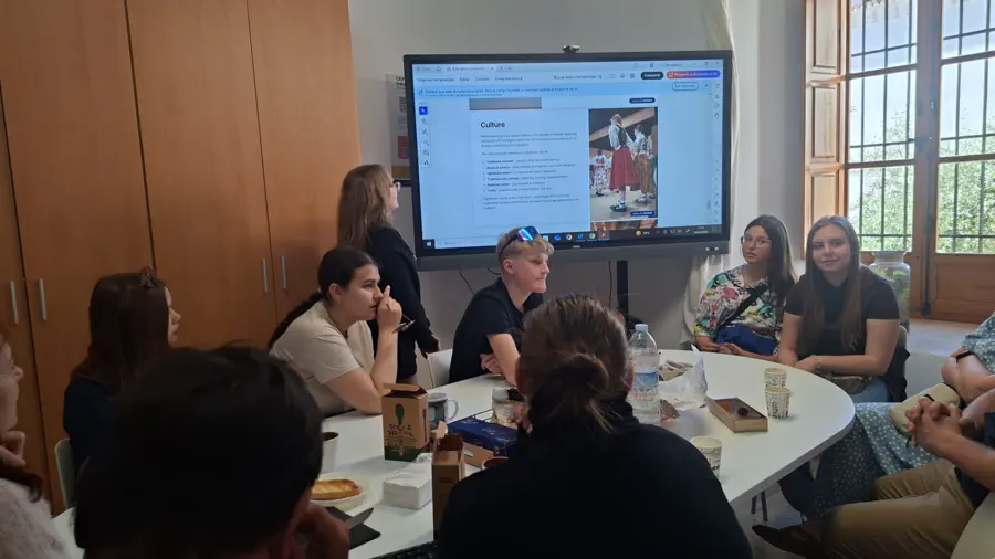 School education students Erasmus mobility in Spain