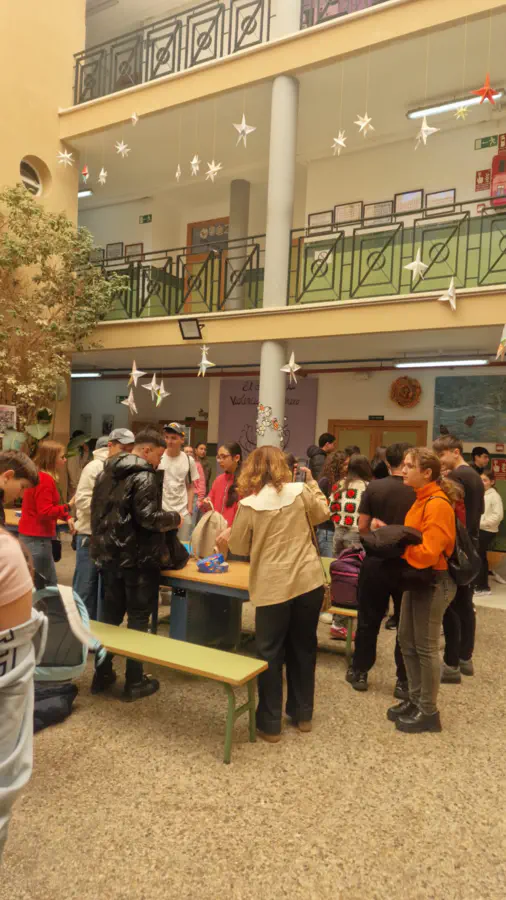 School education students Erasmus mobility in Spain