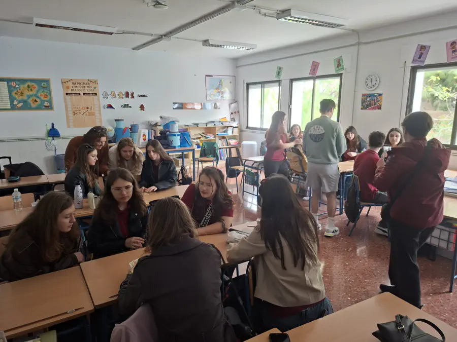 School education students Erasmus mobility in Spain